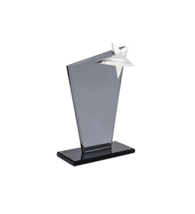 HZ-242 KRİSTAL PLAKET YILDIZLI HZ-242 KRİSTAL PLAKET YILDIZLI